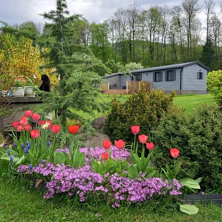 Idylka - Nova Se Zahradou Lägenhet Loučná nad Desnou